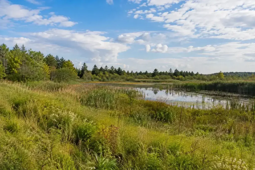 Custom home builders Peterborough: rural land beside a wetland, where a conservation review may apply before you build