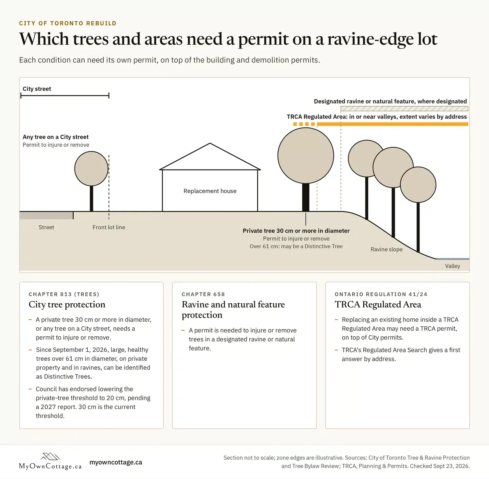 Toronto ravine-edge lot: permits for City street trees, private trees 30 cm or more, designated ravines and TRCA areas